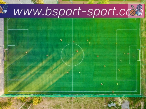 Bsports官网品牌故事