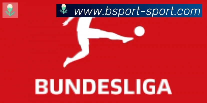 Bsports官网合作伙伴